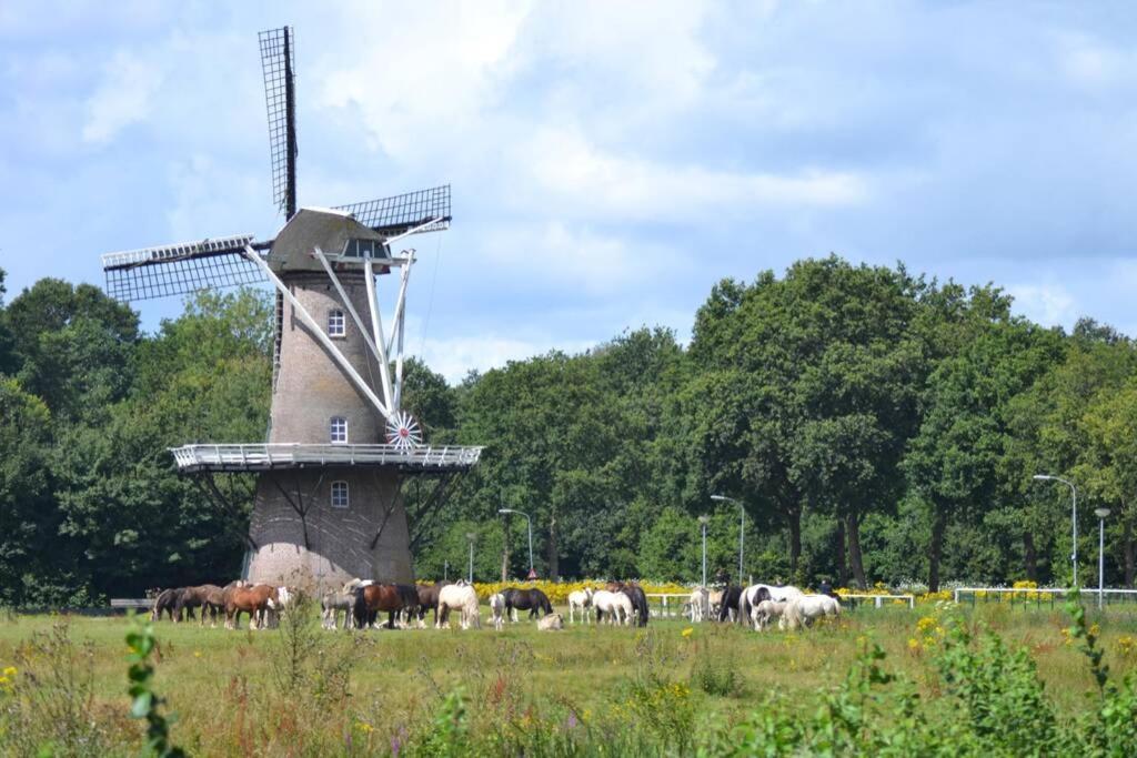 Vossenbelt Villa Gasselte Exterior foto